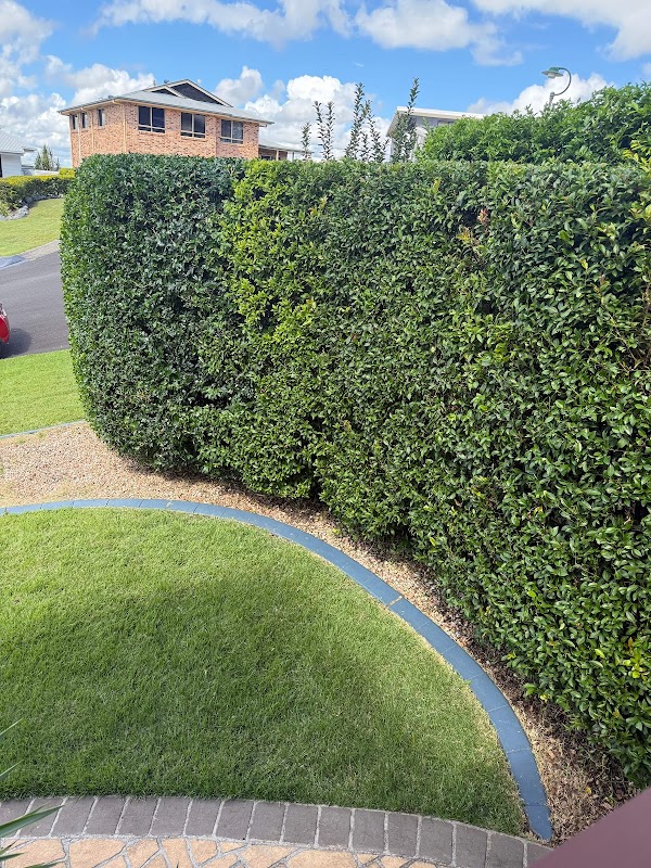 Cappelli Green Services work 4