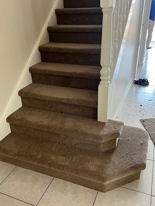 Carpet Capital photo 2