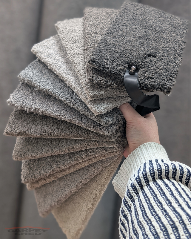 Carpet Shed Factory Outlet project 8