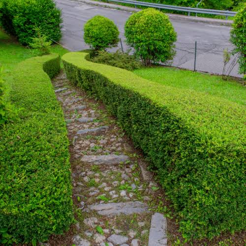 Cascade Garden Landscaping project 5