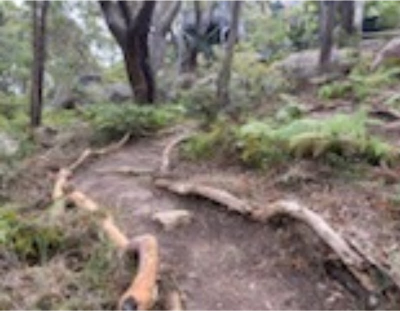 Central Coast Outdoor Solutions project 4