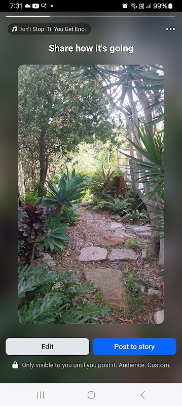 Central Coast Outdoor Solutions project 5
