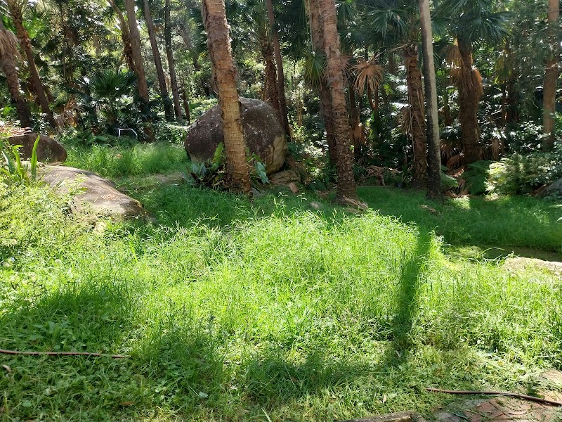 Central Coast Outdoor Solutions project 10