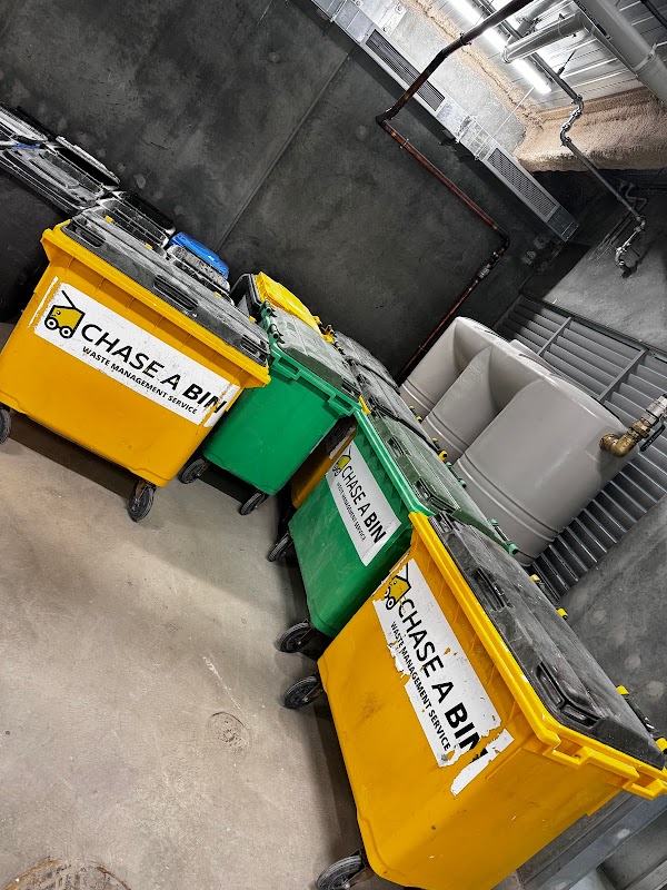 Chase a bin project 6