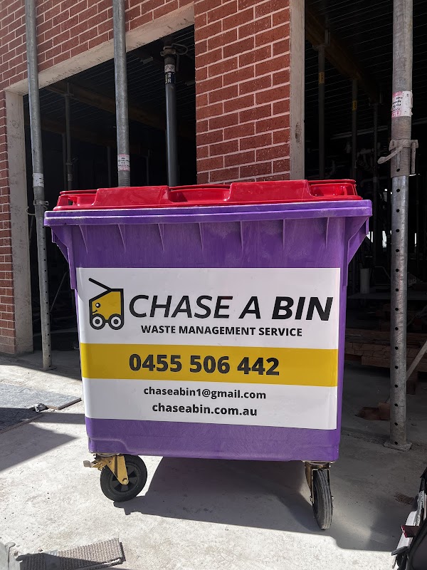 Chase a bin project 7