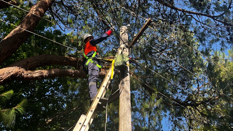 Checked Electrical work 1