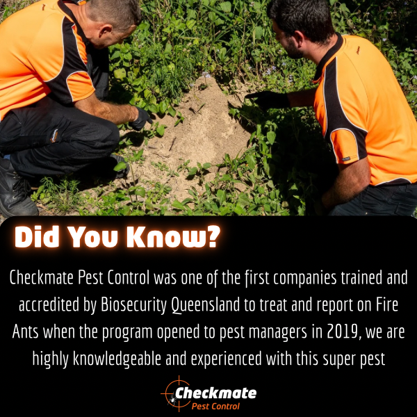 Checkmate Pest Control photo 2