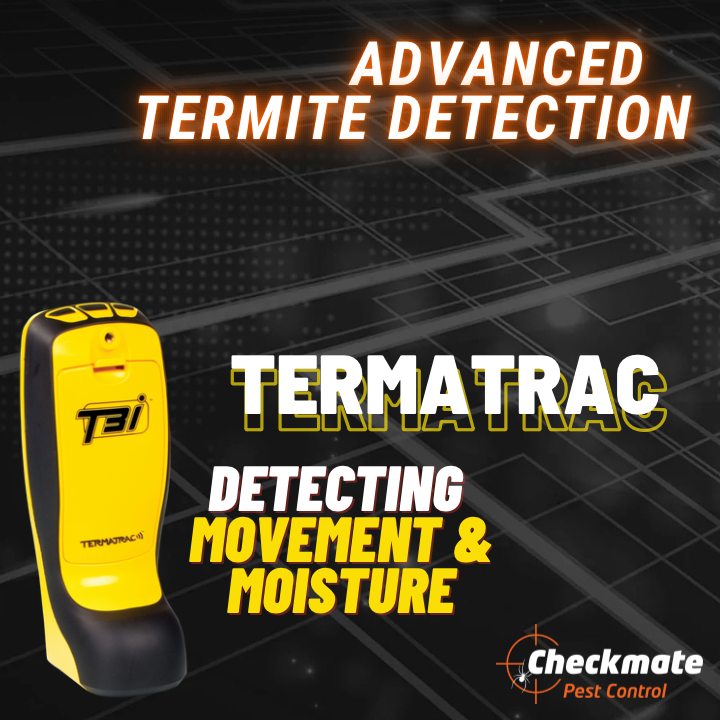Checkmate Pest Control project 4
