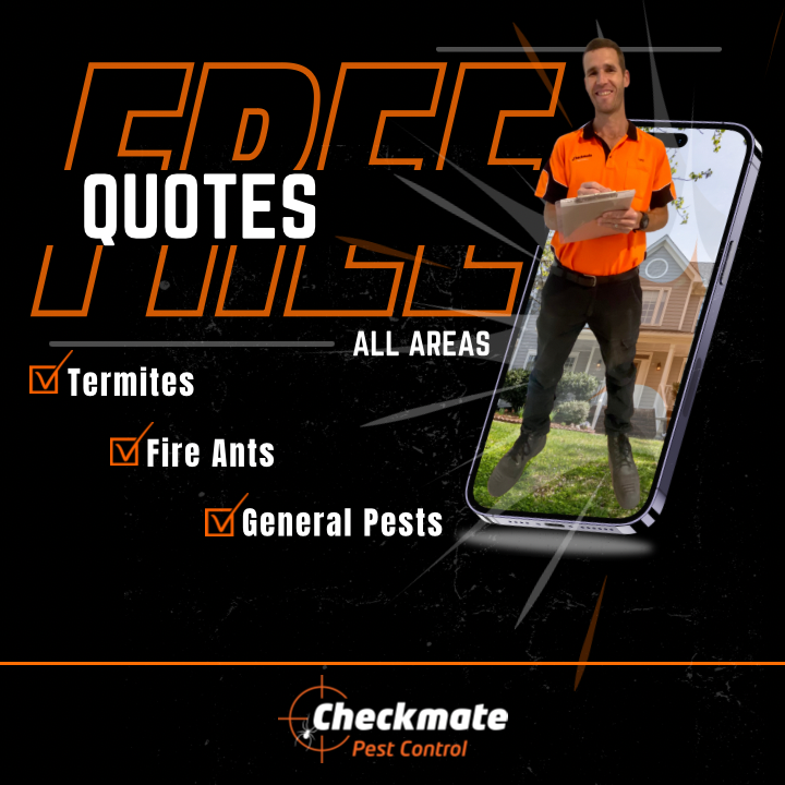 Checkmate Pest Control project 5