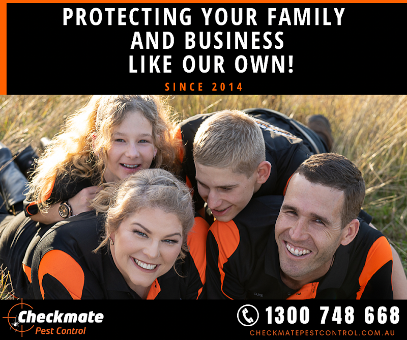 Checkmate Pest Control project 8