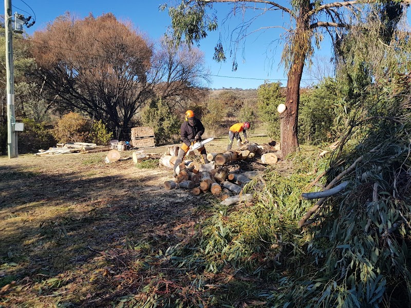 Chop It Tree Services project 1