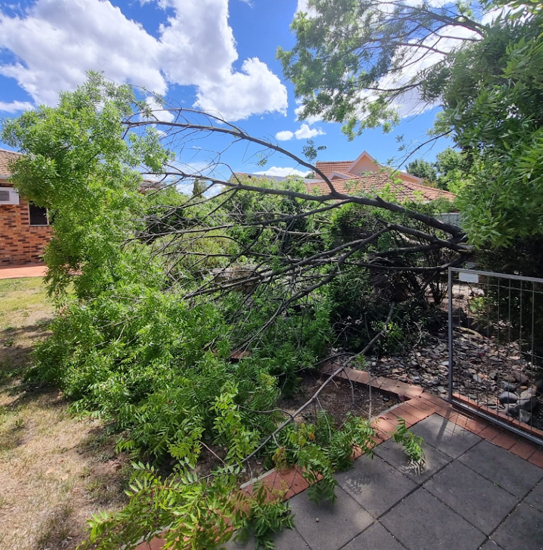 Chop It Tree Services cover