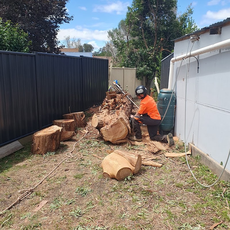 Chop It Tree Services project 3