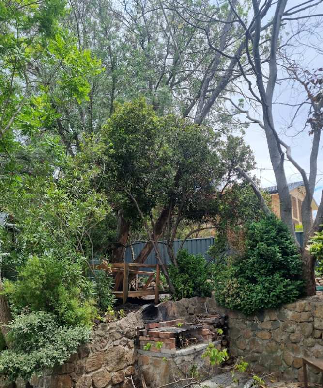 Chop It Tree Services project 5