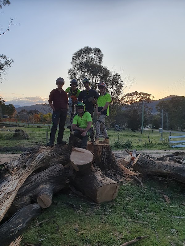 Chop It Tree Services project 7