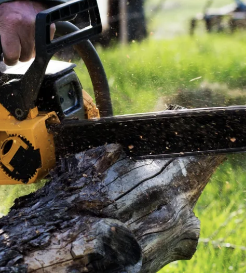 Chop It Tree Services project 8
