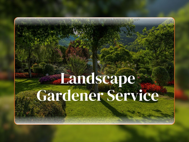 Chris's Complete Gardening & Landscape Morang Melbourne project 9