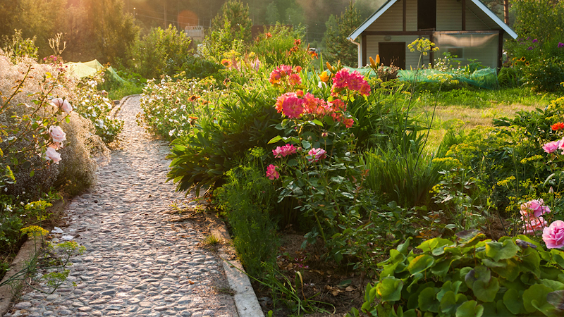 Church Street Garden Services photo 2