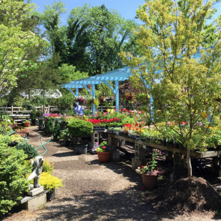 Church Street Garden Services photo 3