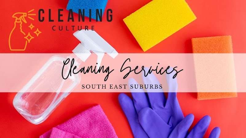 Cleaning Culture work 1