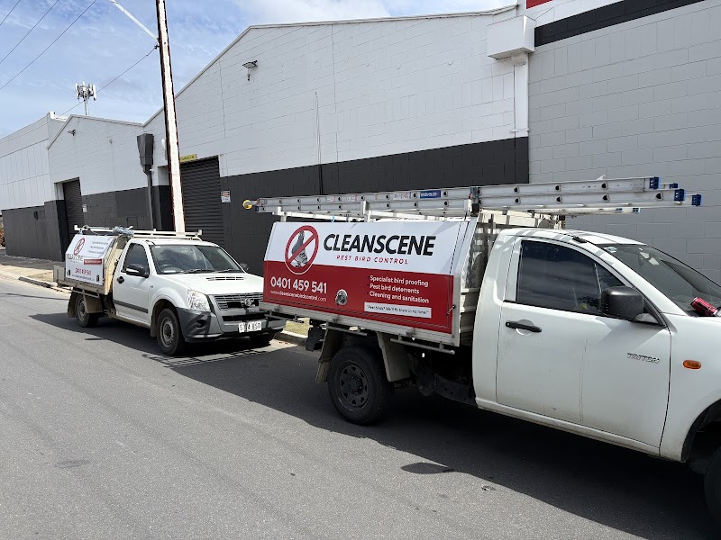 CleanScene Bird Control work 3