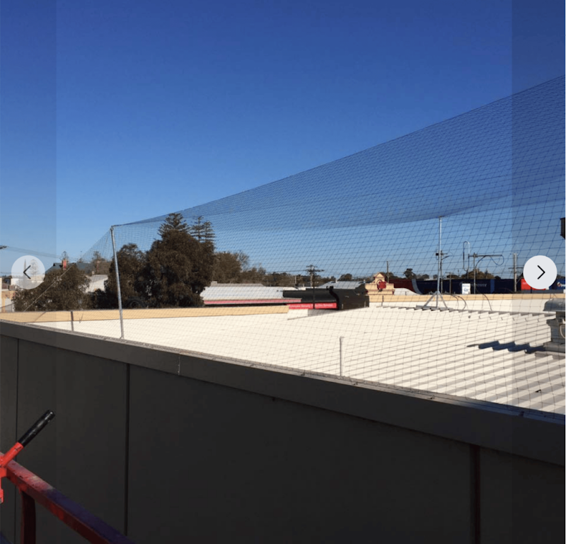 CleanScene Bird Control project 8