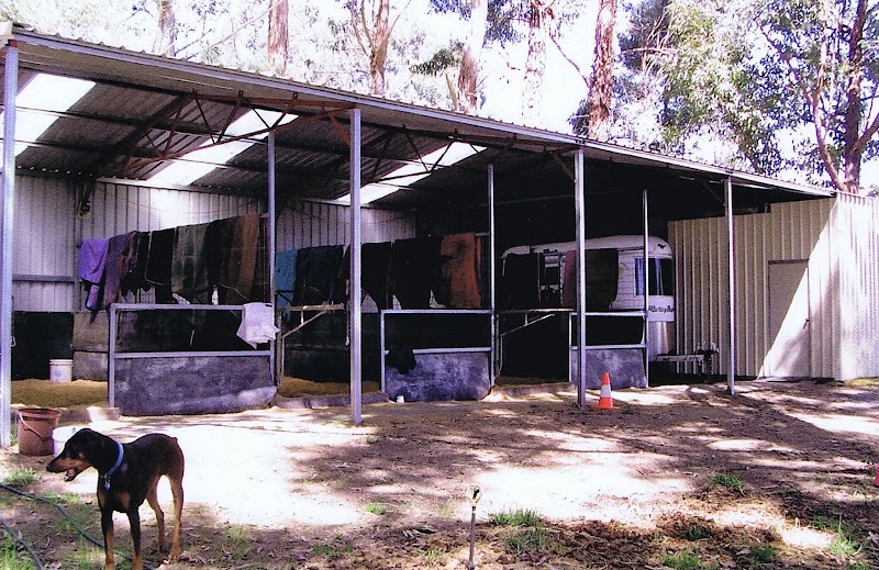 Coastline Sheds project 9