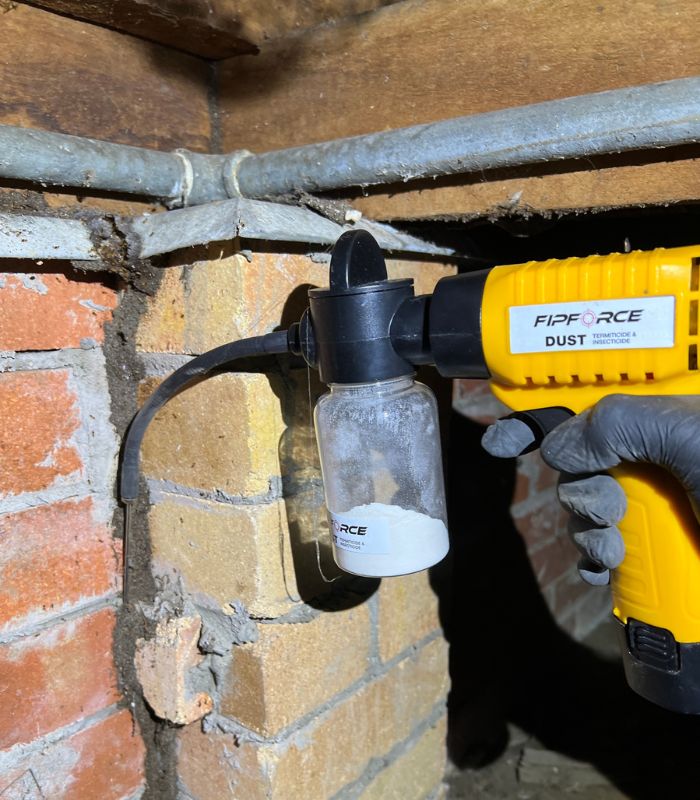Conquer Termites Pest Control Brisbane South work 4