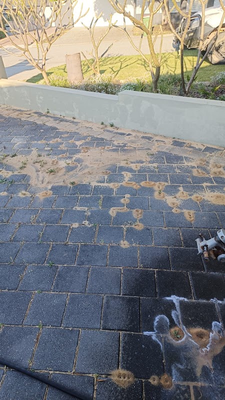 Core Pest Control work 2