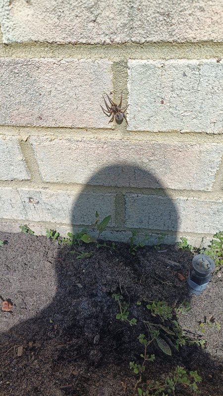 Core Pest Control project 5