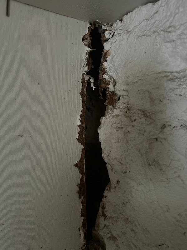 Core Pest Control project 8