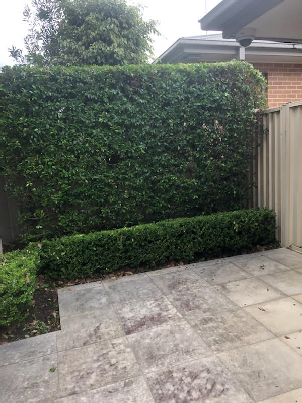 Craig’s Lawn Mowing and Garden Maintenance project 8