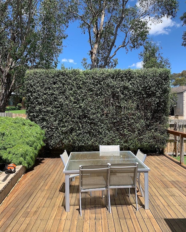 Cut Above Lawns & Hedges project 5