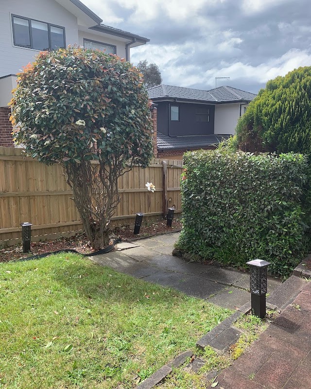 Cut Above Lawns & Hedges project 7