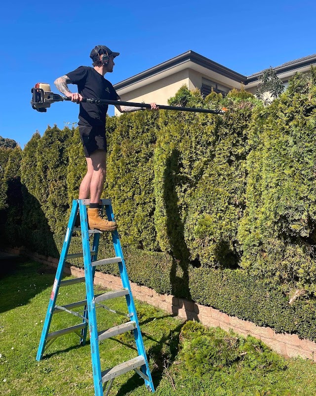 Cut Above Lawns & Hedges project 8