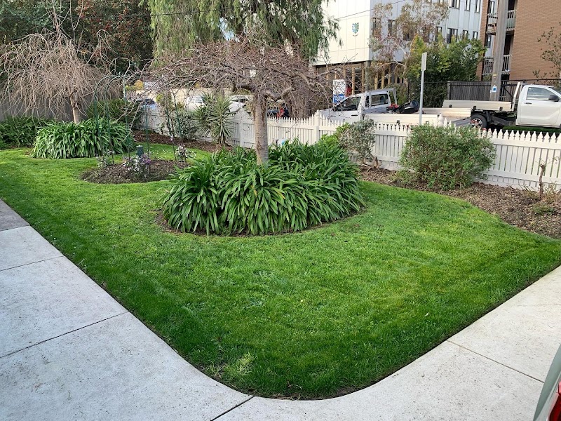 Cut Above Lawns & Hedges project 9