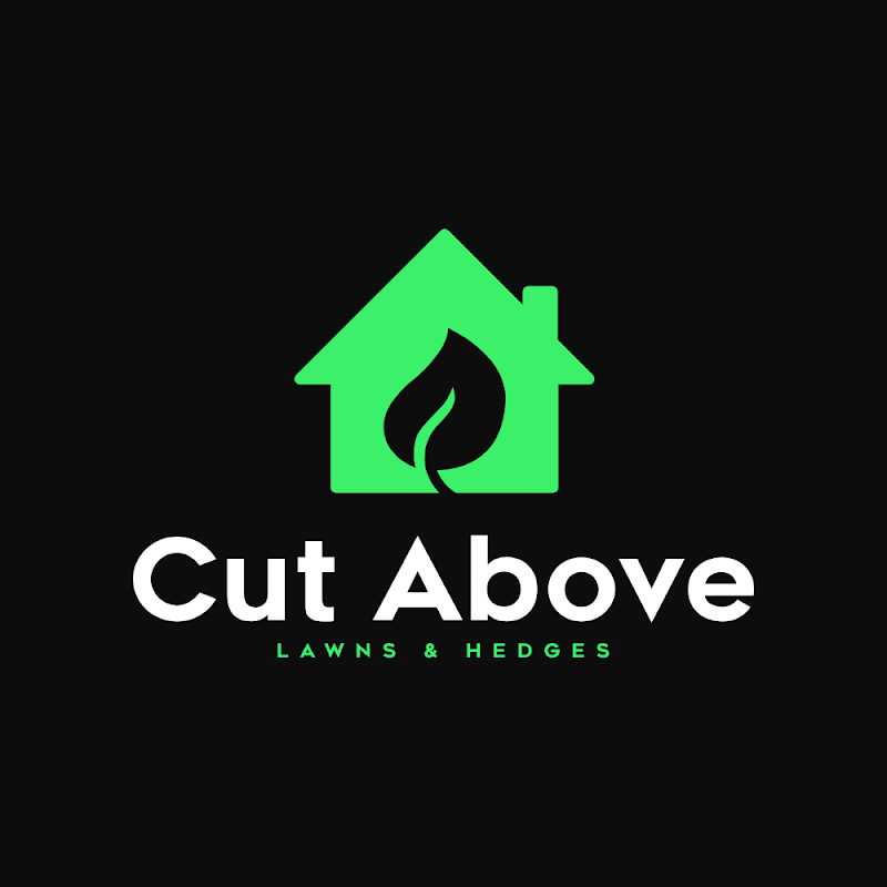 Cut Above Lawns & Hedges project 10