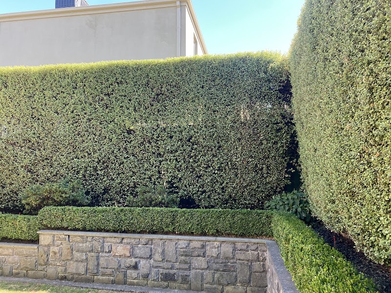 Cuttin Hedge Gardening Services photo 2