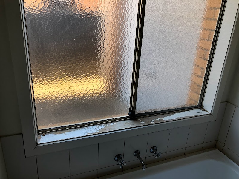 Dan's Painting services photo 2