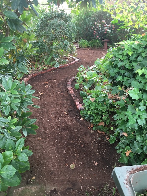 Daryl's Garden Design & Maintenance work 4