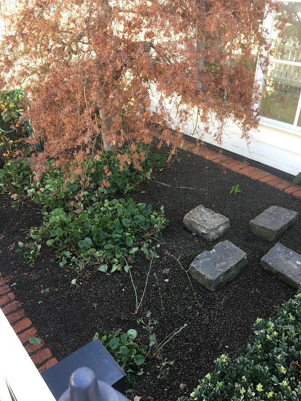 Daryl's Garden Design & Maintenance project 5