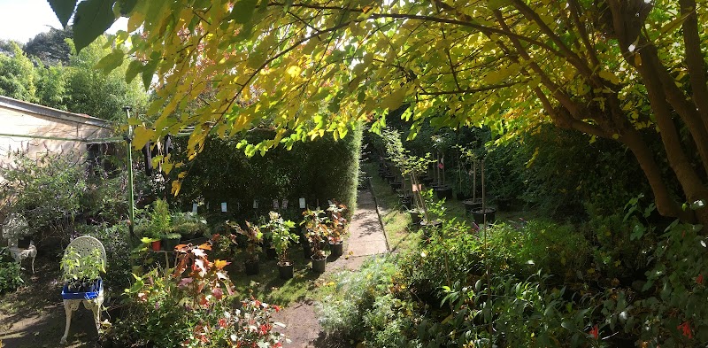 Daryl's Garden Design & Maintenance project 6