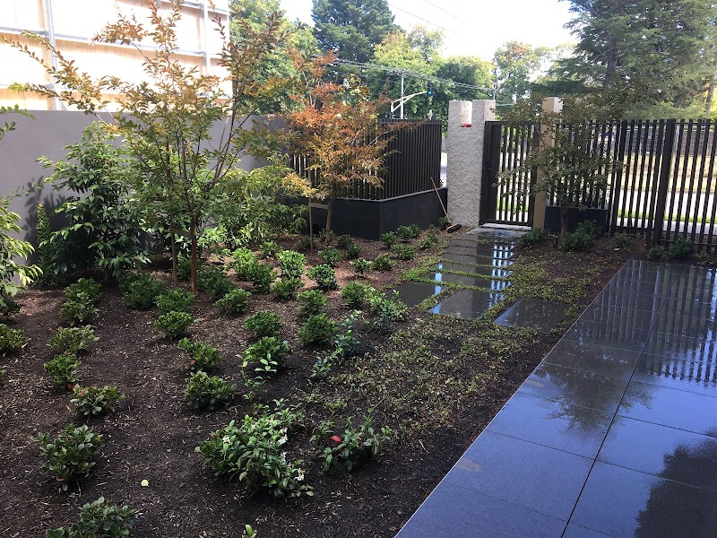 Daryl's Garden Design & Maintenance project 7