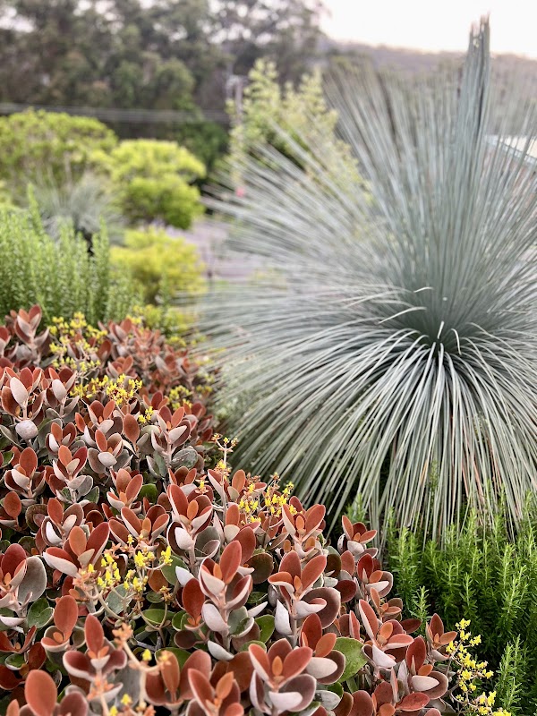 Defined Landscapes Pty Ltd project 7
