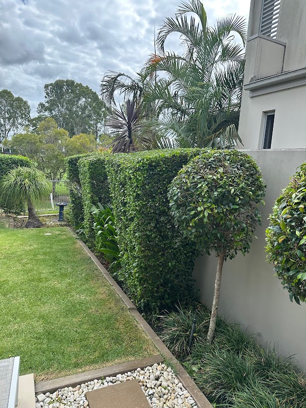 Dellys Lawns and Gardens project 7
