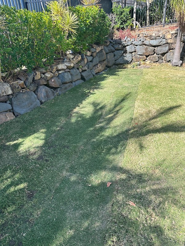 Dellys Lawns and Gardens project 9