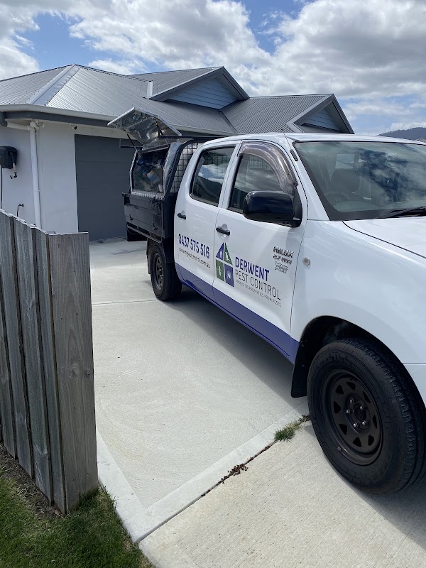 Derwent Pest Control work 1