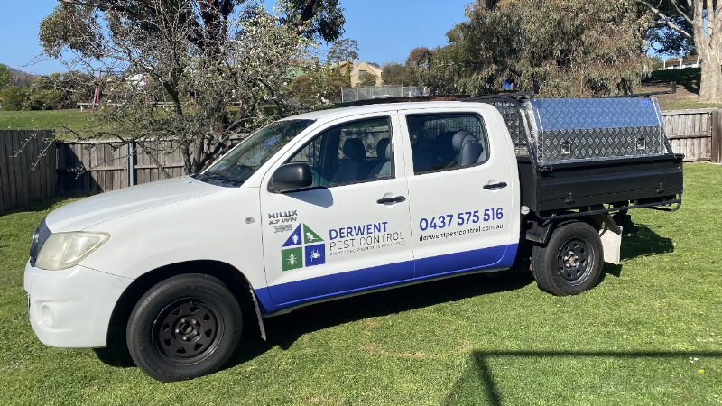 Derwent Pest Control work 3