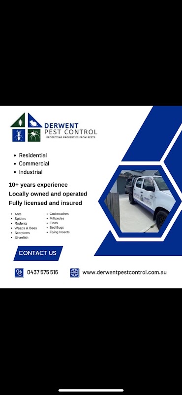 Derwent Pest Control work 4