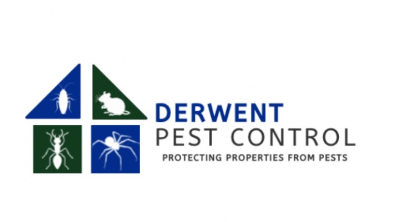 Derwent Pest Control project 5